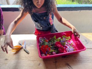 FEC 03 2022 Descobrindo a Cianotipia, Inventariando a Natureza