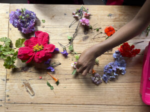 FEC 03 2022 Descobrindo a Cianotipia, Inventariando a Natureza