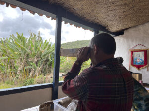 FEC 03 2022 Descobrindo a Cianotipia, Inventariando a Natureza