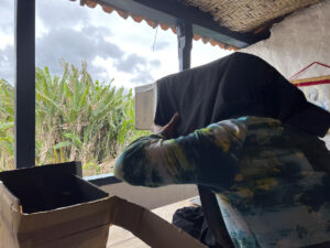 FEC 03 2022 Descobrindo a Cianotipia, Inventariando a Natureza