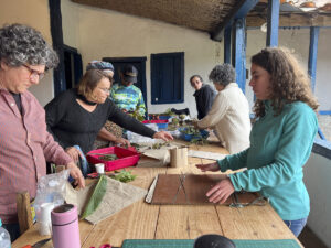 FEC 03 2022 Descobrindo a Cianotipia, Inventariando a Natureza