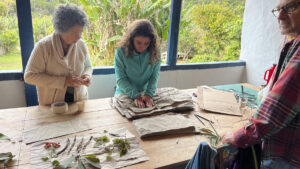 FEC 03 2022 Descobrindo a Cianotipia, Inventariando a Natureza