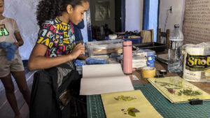 FEC 03 2022 Descobrindo a Cianotipia, Inventariando a Natureza