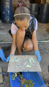 FEC 03 2022 Descobrindo a Cianotipia, Inventariando a Natureza