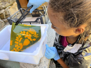 FEC 03 2022 Descobrindo a Cianotipia, Inventariando a Natureza