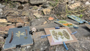 FEC 03 2022 Descobrindo a Cianotipia, Inventariando a Natureza