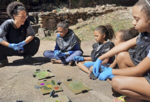 FEC 03 2022 Descobrindo a Cianotipia, Inventariando a Natureza