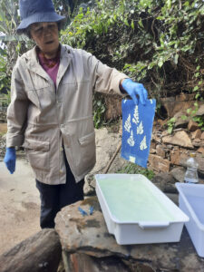 FEC 03 2022 Descobrindo a Cianotipia, Inventariando a Natureza