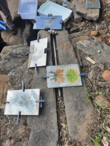 FEC 03 2022 Descobrindo a Cianotipia, Inventariando a Natureza