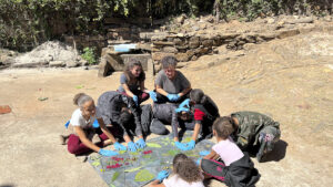 FEC 03 2022 Descobrindo a Cianotipia, Inventariando a Natureza