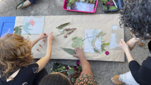 FEC 03 2022 Descobrindo a Cianotipia, Inventariando a Natureza