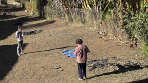 FEC 03 2022 Descobrindo a Cianotipia, Inventariando a Natureza