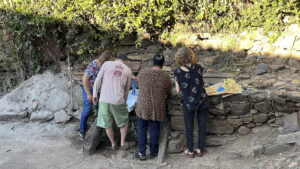 FEC 03 2022 Descobrindo a Cianotipia, Inventariando a Natureza