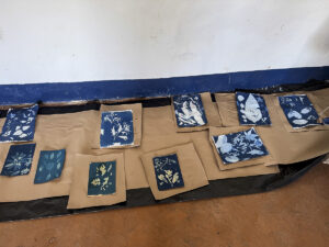 FEC 03 2022 Descobrindo a Cianotipia, Inventariando a Natureza