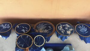 FEC 03 2022 Descobrindo a Cianotipia, Inventariando a Natureza