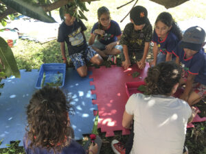 FEC 03 2022 Descobrindo a Cianotipia, Inventariando a Natureza