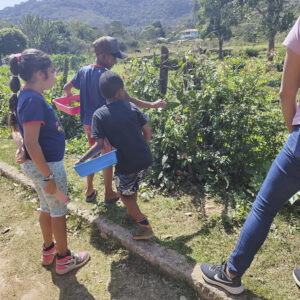 FEC 03 2022 Descobrindo a Cianotipia, Inventariando a Natureza