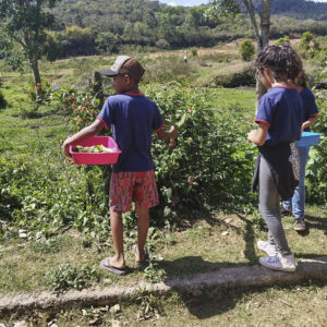 FEC 03 2022 Descobrindo a Cianotipia, Inventariando a Natureza