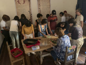 FEC 03 2022 Descobrindo a Cianotipia, Inventariando a Natureza