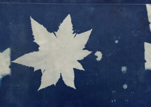 FEC 03 2022 Descobrindo a Cianotipia, Inventariando a Natureza