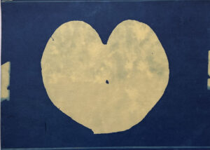 FEC 03 2022 Descobrindo a Cianotipia, Inventariando a Natureza