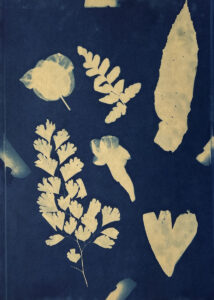 FEC 03 2022 Descobrindo a Cianotipia, Inventariando a Natureza