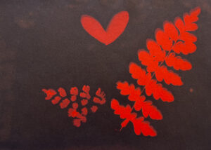 FEC 03 2022 Descobrindo a Cianotipia, Inventariando a Natureza