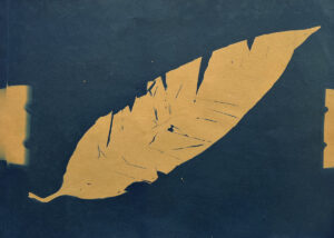 FEC 03 2022 Descobrindo a Cianotipia, Inventariando a Natureza