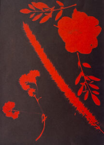 FEC 03 2022 Descobrindo a Cianotipia, Inventariando a Natureza