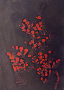 FEC 03 2022 Descobrindo a Cianotipia, Inventariando a Natureza