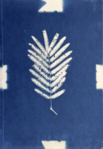 FEC 03 2022 Descobrindo a Cianotipia, Inventariando a Natureza