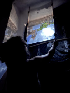 FEC 03 2022 Descobrindo a Cianotipia, Inventariando a Natureza