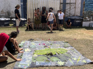 FEC 03 2022 Descobrindo a Cianotipia, Inventariando a Natureza