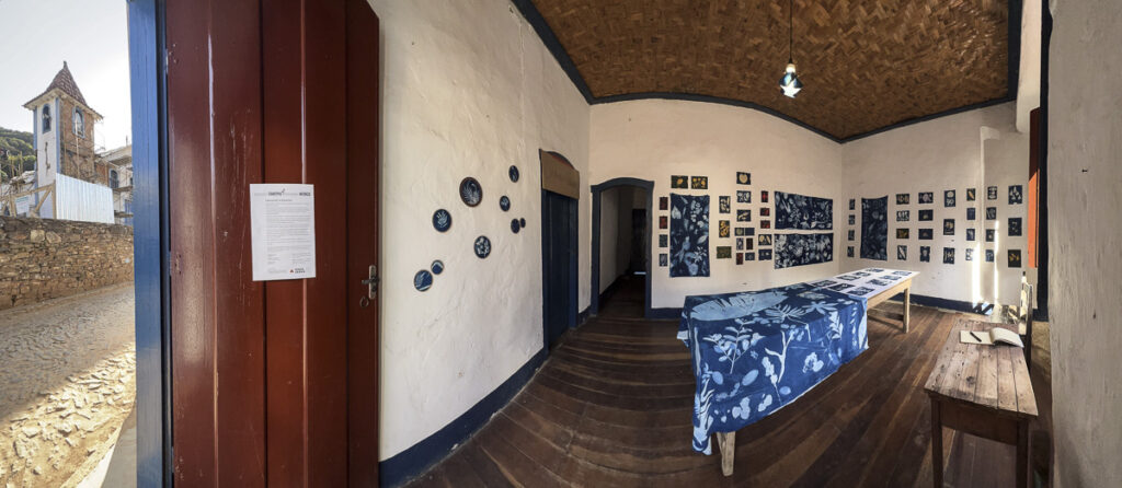 FEC 03 2022 Descobrindo a Cianotipia, Inventariando a Natureza