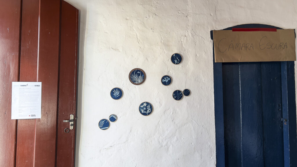 FEC 03 2022 Descobrindo a Cianotipia, Inventariando a Natureza