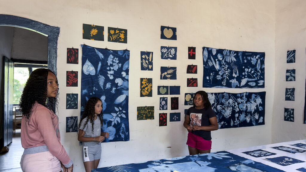 FEC 03 2022 Descobrindo a Cianotipia, Inventariando a Natureza