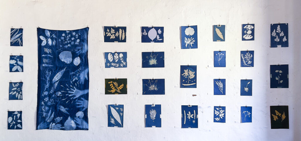 FEC 03 2022 Descobrindo a Cianotipia, Inventariando a Natureza