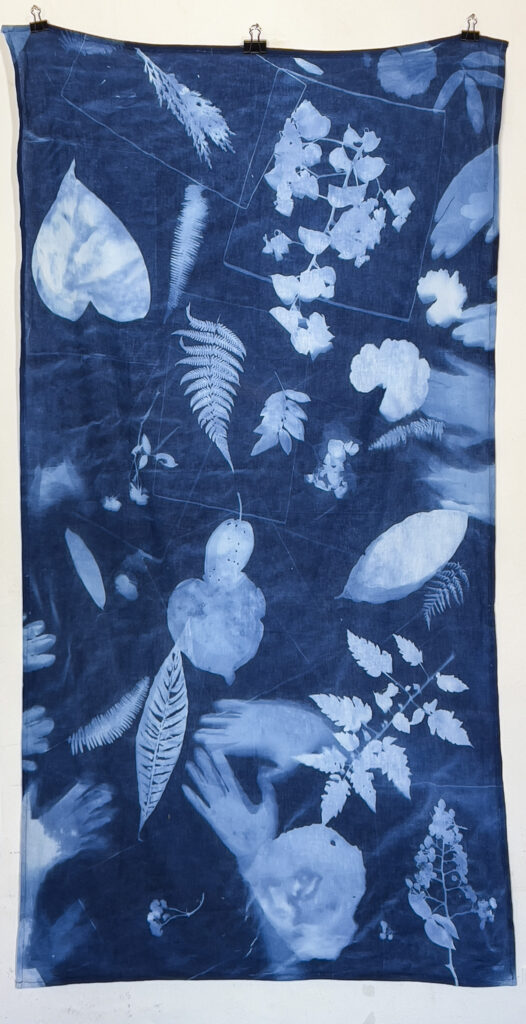 FEC 03 2022 Descobrindo a Cianotipia, Inventariando a Natureza