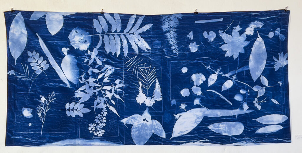 FEC 03 2022 Descobrindo a Cianotipia, Inventariando a Natureza