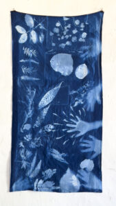 FEC 03 2022 Descobrindo a Cianotipia, Inventariando a Natureza