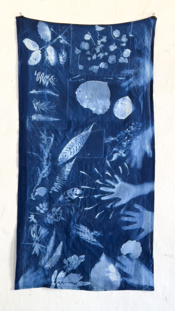 FEC 03 2022 Descobrindo a Cianotipia, Inventariando a Natureza