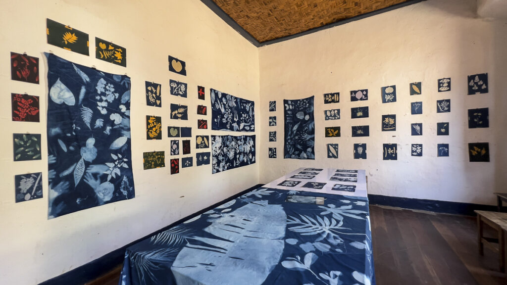 FEC 03 2022 Descobrindo a Cianotipia, Inventariando a Natureza