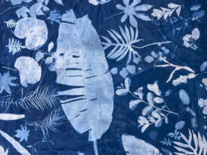 FEC 03 2022 Descobrindo a Cianotipia, Inventariando a Natureza