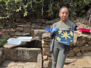 FEC 03 2022 Descobrindo a Cianotipia, Inventariando a Natureza