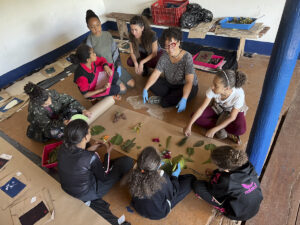 FEC 03 2022 Descobrindo a Cianotipia, Inventariando a Natureza