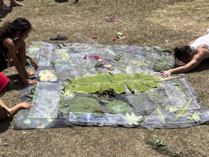 FEC 03 2022 Descobrindo a Cianotipia, Inventariando a Natureza